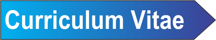 Curriculum Vitae